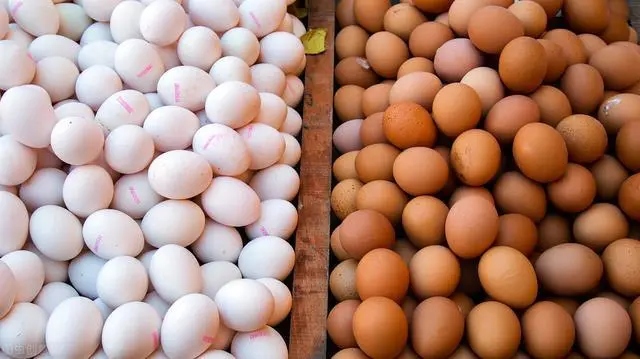 鸡蛋红皮和白皮的区别，要注意区分，不要买贵了