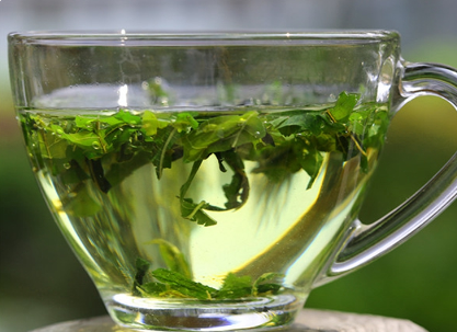 桑叶茶的功效与主治，服用桑叶茶的作用有哪些