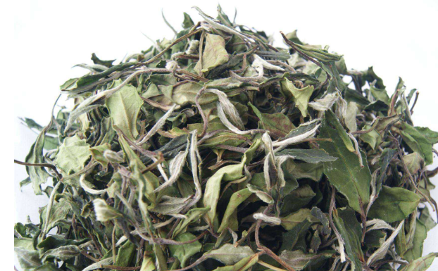 贡眉白茶是什么茶，一种优秀的白茶品种