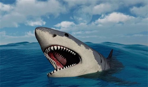 巨齿鲨的祖先是什么（巨齿鲨的元祖是什么）