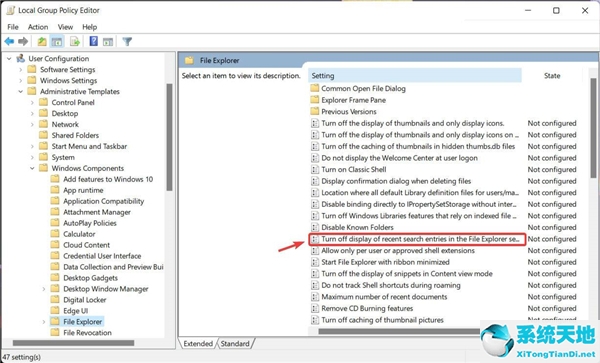 怎么在Windows11上禁用文件资源管理器搜索历史记录