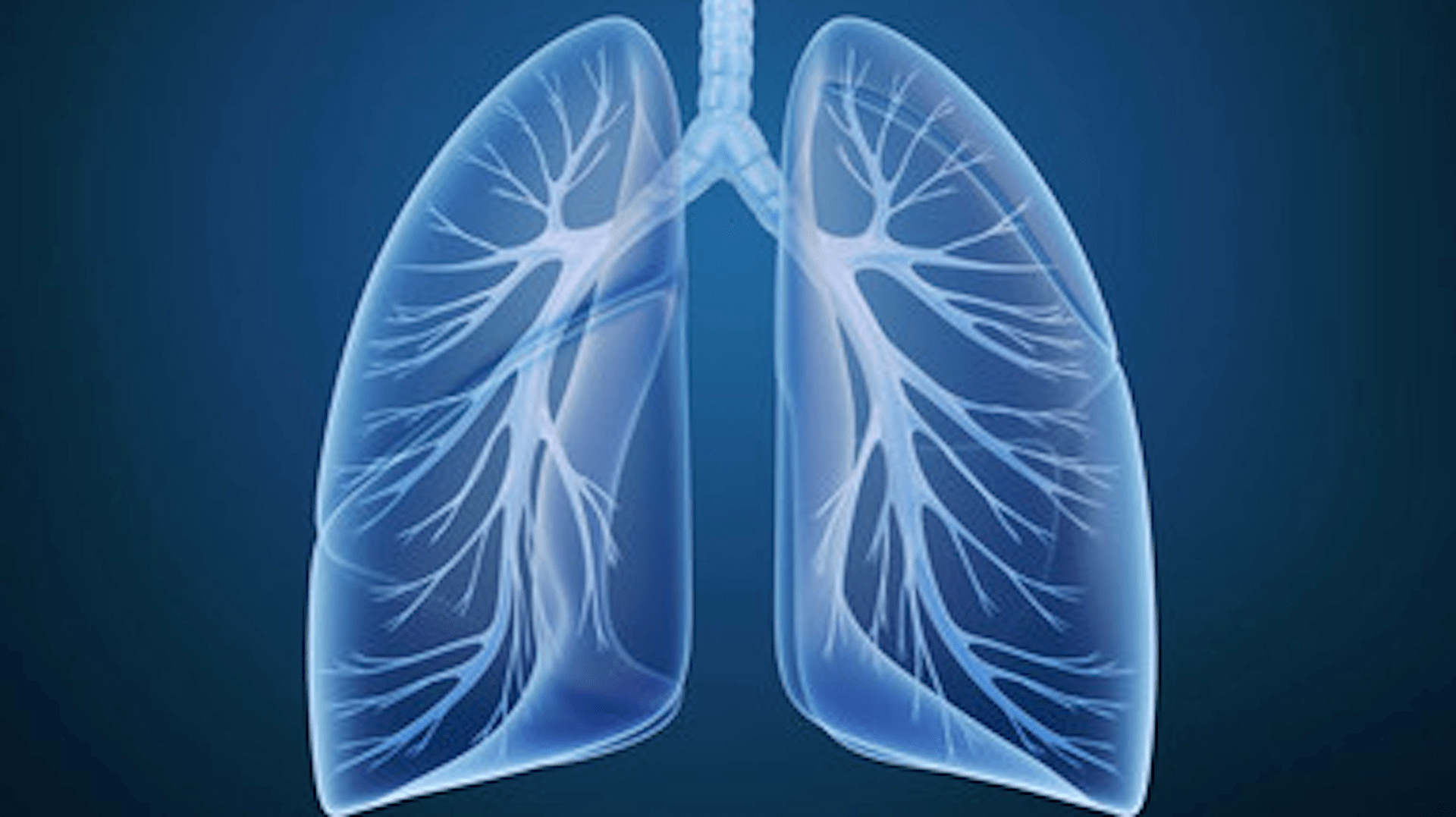 白肺病的症状和原因是什么呢，白肺病的临床表现