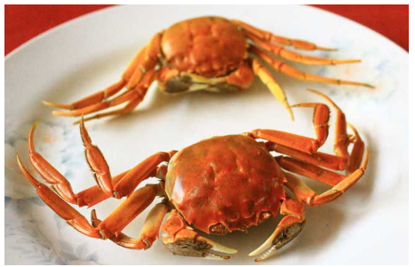 螃蟹不能和哪些食物一起吃，螃蟹与哪些食物相克