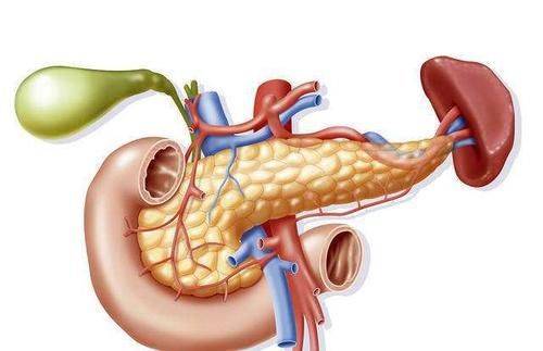 胰腺不好的6大征兆，一旦你身体上出现这些可注意了