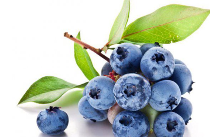 蓝莓的功效与作用，蓝莓对人体有什么好处