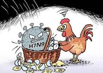 一国出现人感染禽流感病例