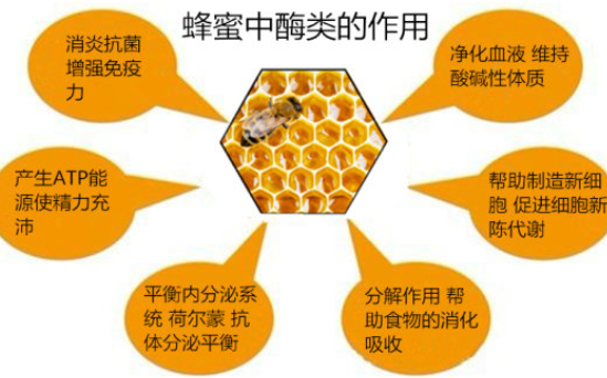 蜂蜜的作用与功效