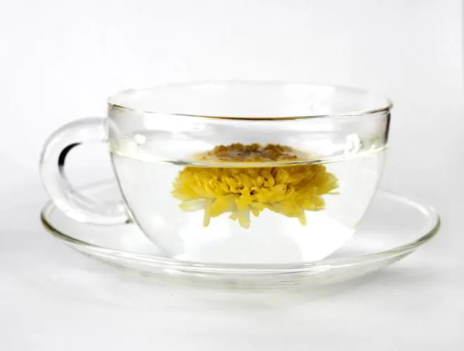 菊花茶的功效与作用，几种人不能喝菊花茶