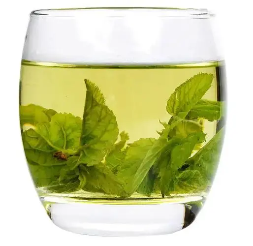 桑叶茶的功效与主治，为什么不能长期饮用