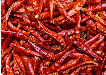 辣椒的功效与作用，吃辣椒的好处有哪些3