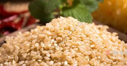 糙米是什么米?糙米是哪三种米?花两分钟时间告诉你
