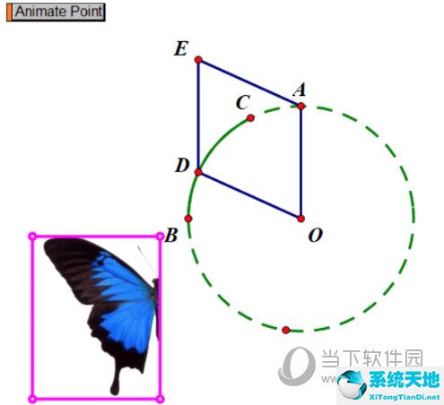 几何画板制作蝴蝶动画详细步骤(用几何画板画动态的蝴蝶图片)