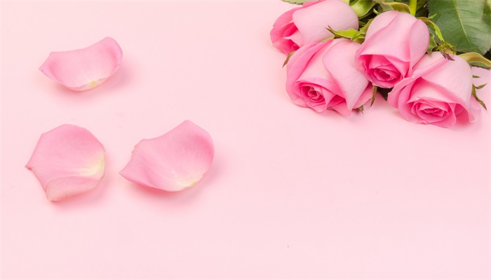 粉色康乃馨配粉色玫瑰花语